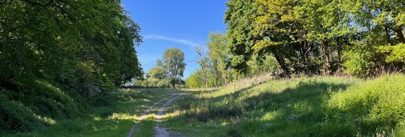 Blick auf das Gelände des ehemaligen Schießstandes. Foto: Stadt Oldenburg