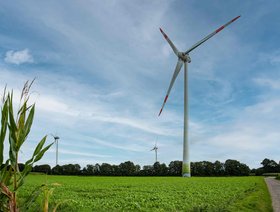 Windräder auf einer Wiese. Foto: Mittwollen und Gradetchliev
