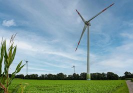 Windräder auf einer Wiese. Foto: Mittwollen und Gradetchliev