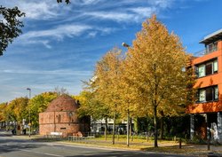 Herbstbunte Linden in der Oldenburger Innenstadt. Foto: Hans-Jürgen Zietz