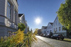 Goldrute in der Blumenstraße. Foto: Hans-Jürgen Zietz