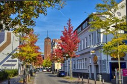 Stadtbäume in bunten Herbstfarben in Oldenburg. Foto: Hans-Jügen Zietz