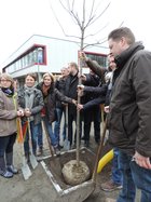 Erwachsenen pflanzen Bäume... Bild: Stadt Oldenburg
