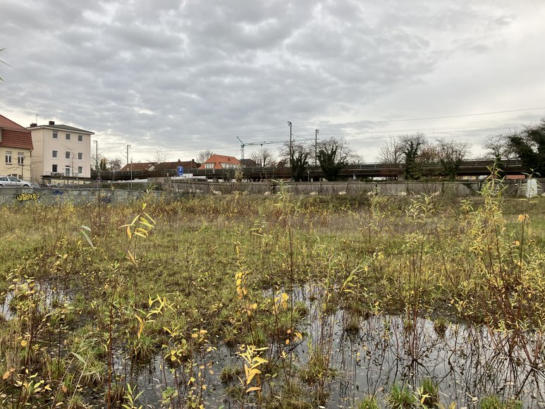 Stadt Oldenburg Das Grundstück nach dem Abriss des Finanzamtgebäudes. Foto: Stadt Oldenburg