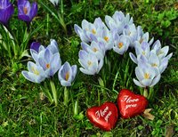 Ostern im Schlossgarten. Foto: Hans-Jürgen Zietz