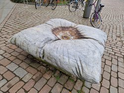 „Das Kissen“ auf dem Schlossplatz. Foto: Stadt Oldenburg