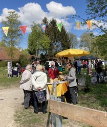 Infostand zu Wildbienen. Foto: Stadt Oldenburg Infostand zu Wildbienen. Foto: Stadt Oldenburg