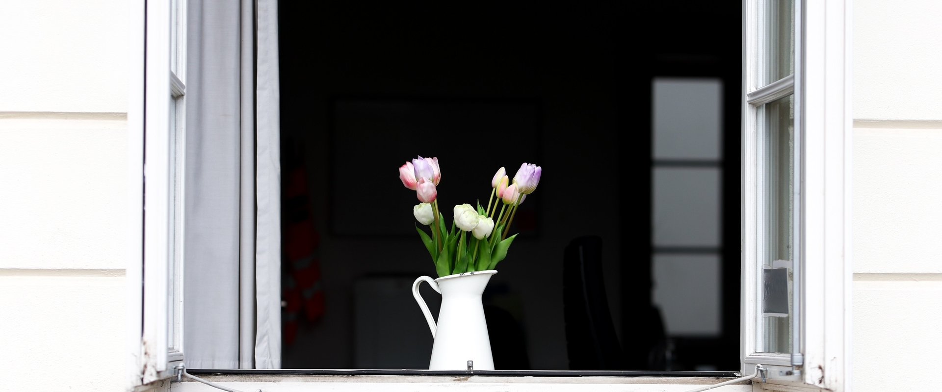 Blumen im Fenster. Foto: Anastasia Hrytsenko