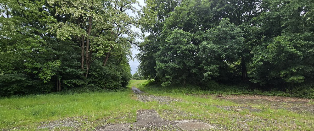 Blick auf das Gelände des ehemaligen Schießstandes. Foto: Stadt Oldenburg