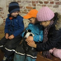 Drei Kinder mit einem Kaninchen. Foto: Stadt Oldenburg