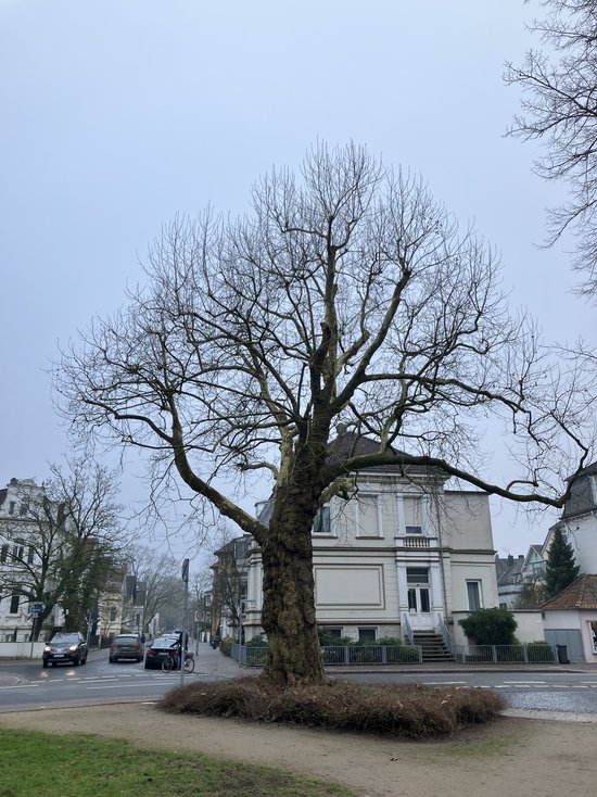 Foto: Stadt Oldenburg