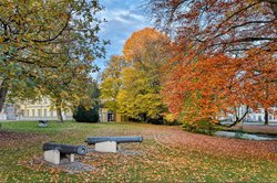 Bäume in Herbstfärbung in der Oldenburger Innenstadt. Foto: Hans-Jürgen Zietz
