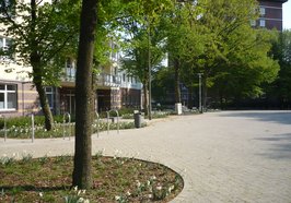 Bepflanzung am Bloherfelder Marktplatz. Foto: Stadt Oldenburg