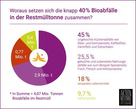 Welche Bioabfälle immer noch in der Biotonne landen. Grafik: Aktion Biotonne Deutschland/pixabay