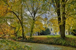 Bäume in Herbstfärbung in der Oldenburger Innenstadt. Foto: Hans-Jürgen Zietz