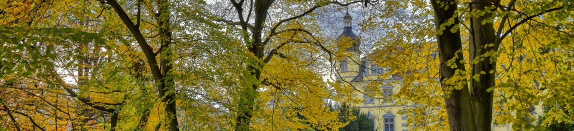 Bäume in Herbstfärbung in der Oldenburger Innenstadt. Foto: Hans-Jürgen Zietz