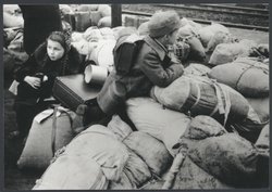 Ankunft der Flüchtlinge in Westerstede im Jahr 1946. Foto: Stadtmuseum Oldenburg