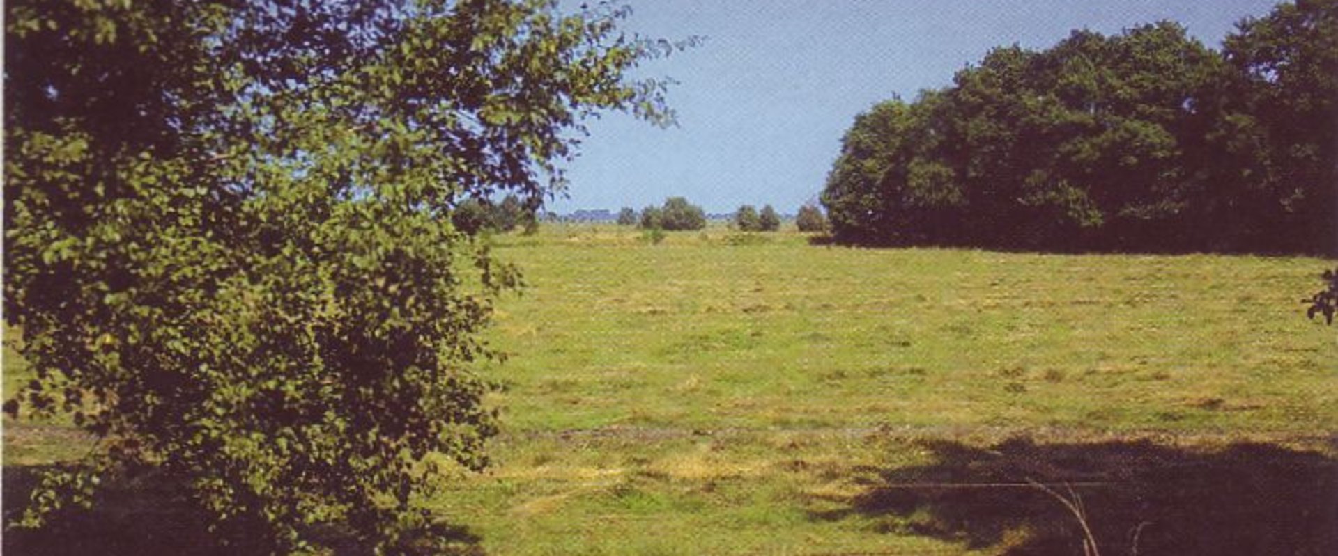 Blankenburger Klostermark. Foto: Stadt Oldenburg
