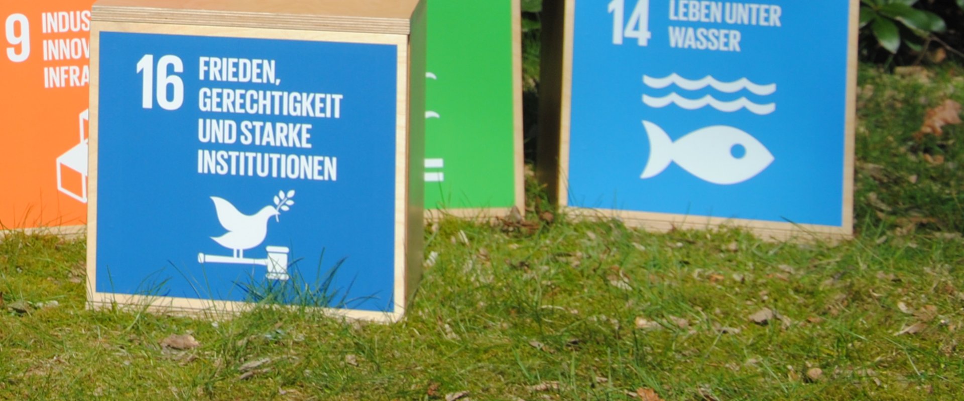 17 Holzboxen zu den Nachhaltigkeitszielen. Foto: Stadt Oldenburg