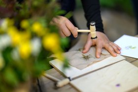 Farbe wird aus frischen Blüten geklopft. Foto: Oldenburger Kunstschule/Izabela Mittwollen