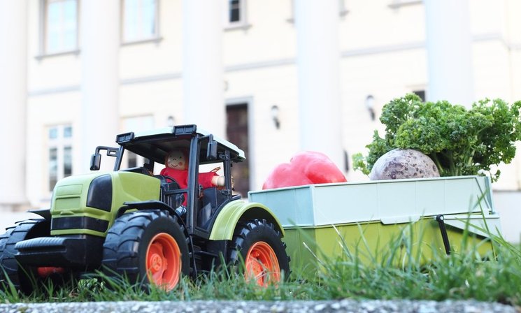 In einen Spielzeug-Trecker wurde Gemüse eingeladen. Foto: Stadt Oldenburg