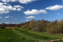 Vorfrühling im Landschaftsschutzgebiet Buschhagenniederung. Foto: Hans-Jürgen Zietz