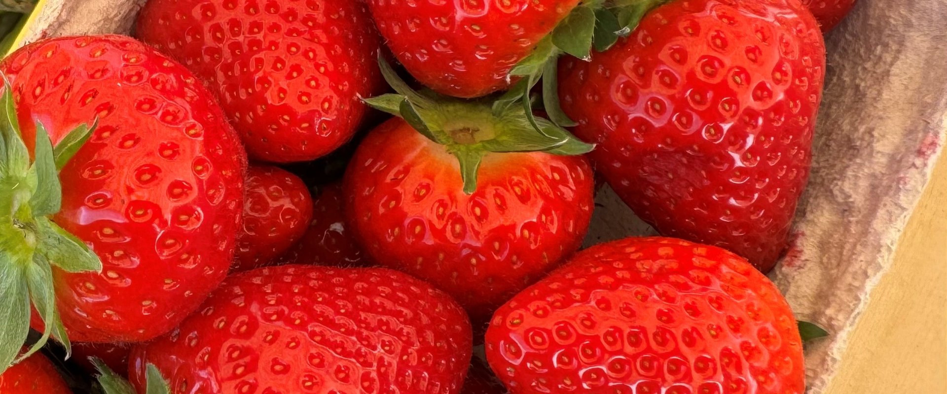 Erdbeeren in einer Schale. Foto: Stadt Oldenburg
