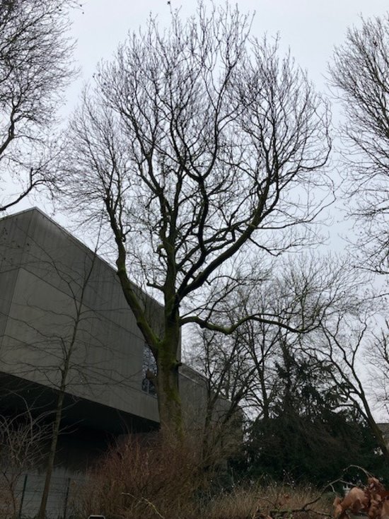 Foto: Stadt Oldenburg