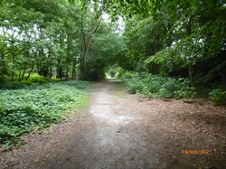 Fuß- und Radweg im Sanierungsgebiet Käthe-Kollwitz-Straße/Hoffkamp vorher. Foto: Stadt Oldenburg