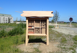 Insektenhotel auf dem Fliegerhorst. Foto: Stadt Oldenburg