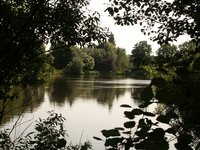 Bürgerfelder Teich