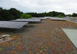 Solaranlage auf dem Dach eines städtischen Gebäudes. Foto: Stadt Oldenburg