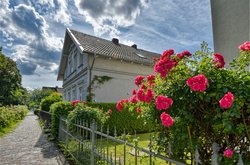 Rote Rosen an der Kanalstraße. Foto: Hans-Jürgen Zietz