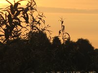 Foto: Werner Fuhlrott