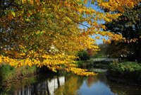 Herbst in den Wallanlagen. Foto: Hans-Jürgen Zietz