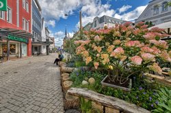 Sommerlicher Stadtgarten am Lefferseck Foto: Hans-Jürgen Zietz