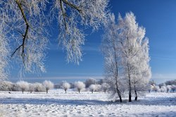 Strahlender Wintertag an der Hunte in Oldenburg. Foto: Hans-Jürgen Zietz Strahlender Wintertag an der Hunte in Oldenburg. Foto: Hans-Jürgen Zietz
