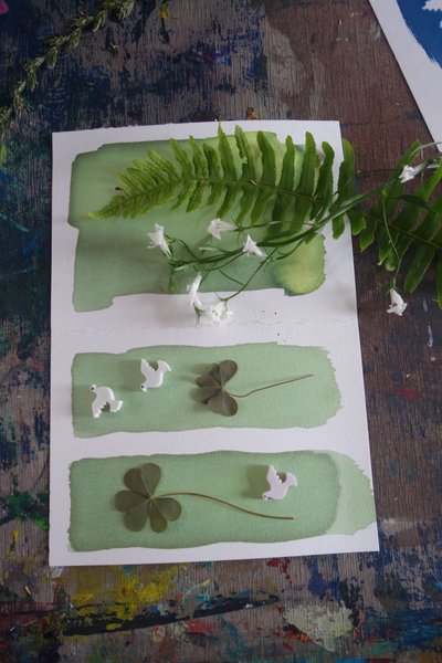 Pflanzen auf eingestrichenem Papier warten auf die Belichtung. Foto: Stadt Oldenburg