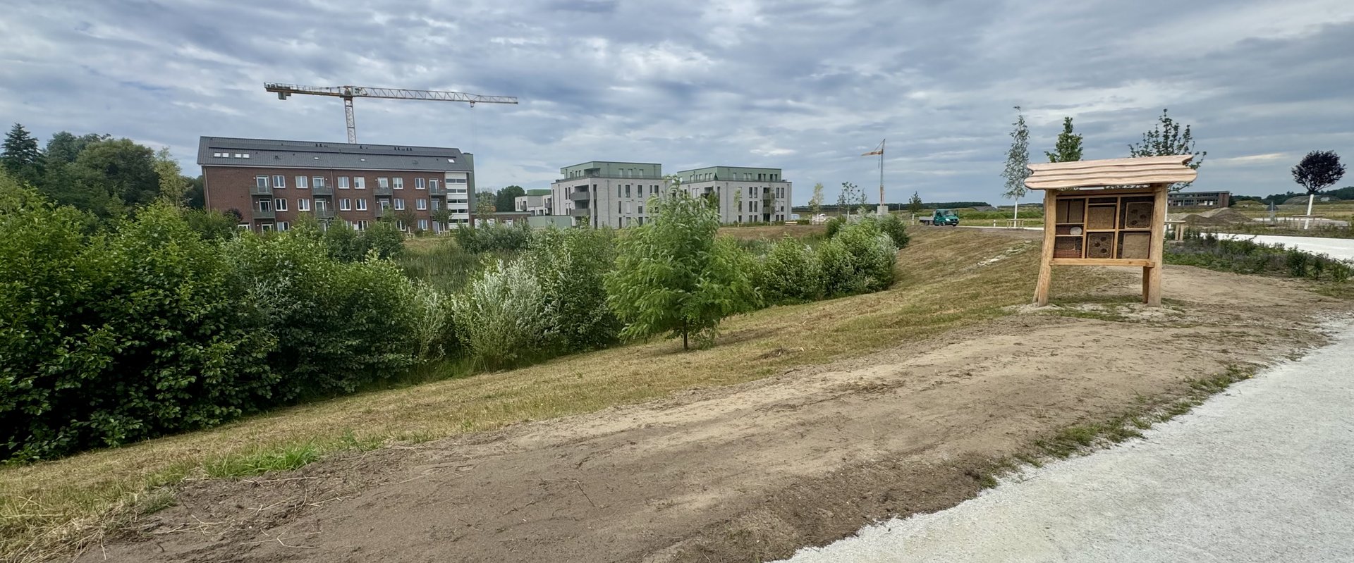 Insektenhotels schaffen im Bäkepark zusätzlichen Lebensraum für Wildbienen. Foto: Sascha Stüber