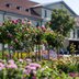 Vorschau: Blumen und Pflanzen auf dem Wochenmarkt auf dem Pferdemarkt. Foto: Sascha Stüber