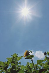 Sonne vor blauem Himmel. Foto: BirgitH/Pixelio