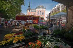 Wochenmarkt auf dem Rathausmarkt. Foto: Stadt Oldenburg