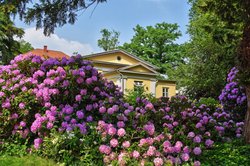 Frühsommer im Oldenburger Schlossgarten. Foto: Hans-Jürgen Zietz