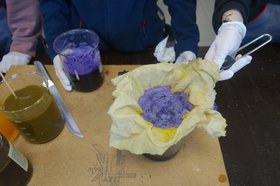 Aus Rotkohl wird Pflanzenfarbe gewonnen. Foto: Stadt Oldenburg