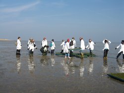 Teilnehmende erkunden das Wattenmeer als Ressource der Kunst. slap e.V.