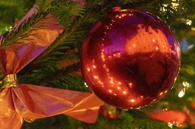 Zweige mit Weihnachtskugel in der sich das Schloss spiegelt. Foto: Sascha Stüber
