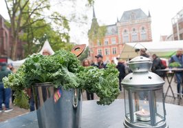 Grünkohl und gastronomisches Angebot auf dem Rathausmarkt. Foto: OTM/Sascha Stüber