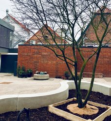 Frisch gepflanzte Felsenbirne vor der Reliefwand aus Klinker. Foto: Stadt Oldenburg