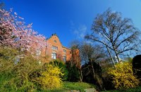 Frühlingsblüten im Schloßgarten. Foto: Hans-Jürgen Zietz.