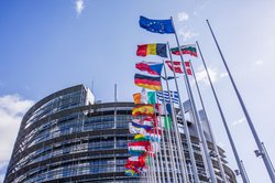 Flaggen vor Europäischem Parlament. Foto: Rainer Sturm/pixelio.de Flaggen vor Europäischem Parlament. Foto: Rainer Sturm/pixelio.de